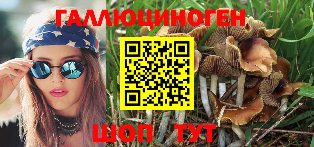 Псилоцибиновые грибы MAGIC MUSHROOMS Ессентуки
