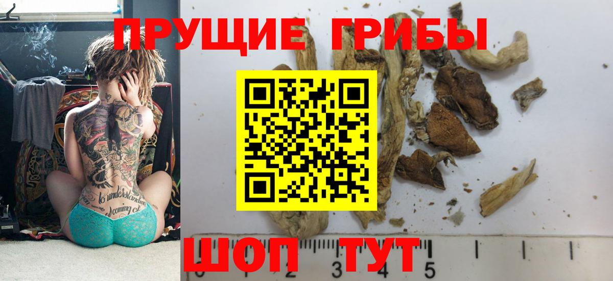 Ессентуки  Псилоцибиновые грибы Magic Shrooms  Вход с VPN  Псилоцибиновые грибы ЛСД 