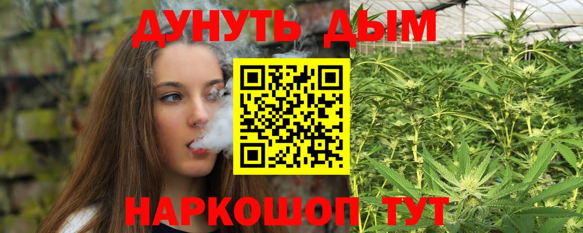 Марихуана конопля Ессентуки